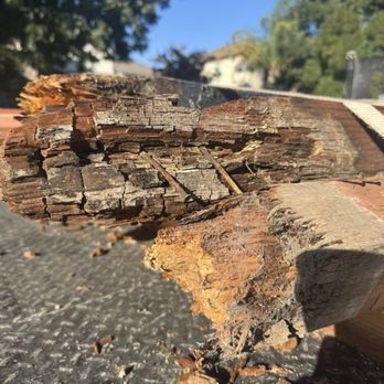 High Quality Fence - Old rotted post - Fences & Gates Near Me - Manteca, California High Quality Fence - Old rotted post - Fences & Gates Near Me - Manteca, California