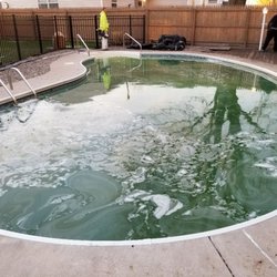 Dive-In swimming pools & masonry services - This is a kidney pool that we started cleaning. This is what a pool starts to look like when you add chemicals to it.
