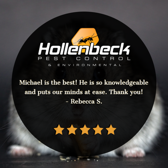 Hollenbeck Pest Control - Pest Control Near Me - New Windsor, New York Hollenbeck Pest Control - Pest Control Near Me - New Windsor, New York