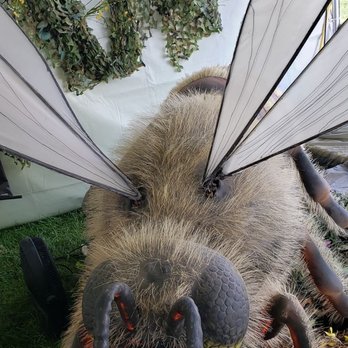Alameda County Fair - Bug exhibit - Festivals Near Me - Pleasanton, California