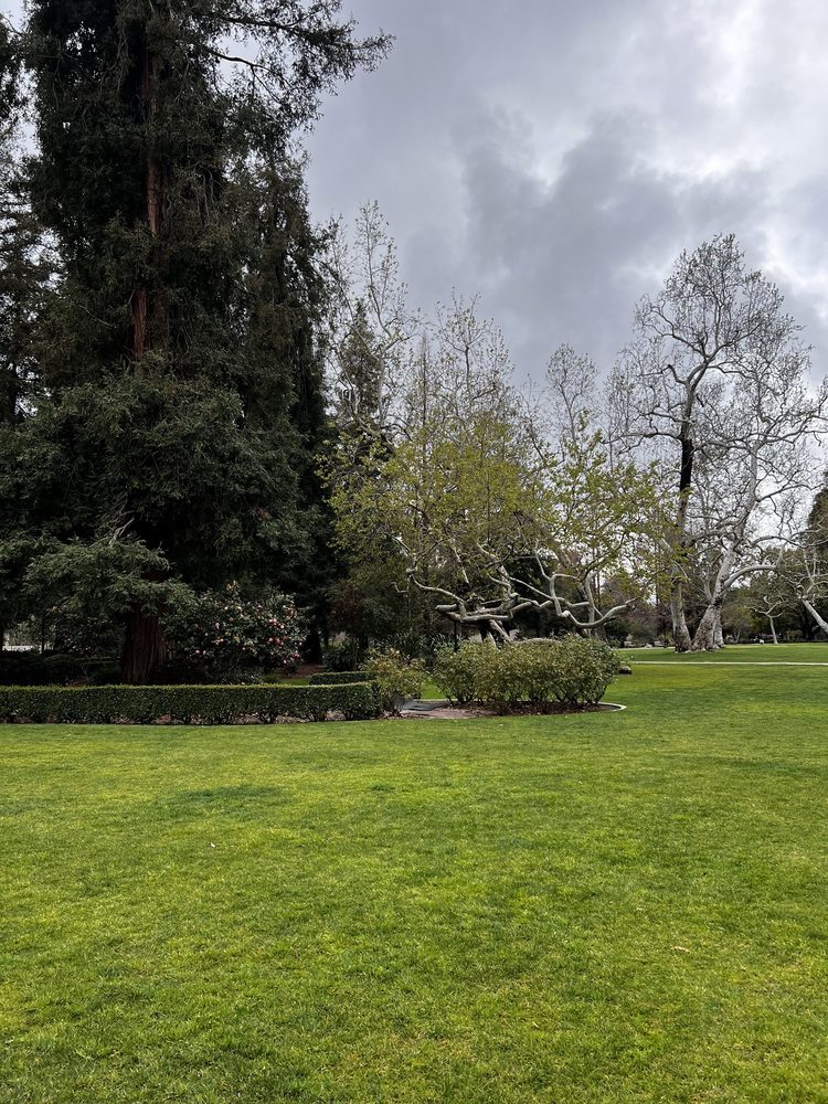 BRIDGES AUDITORIUM 63 Photos & 40 Reviews 450 N College Way