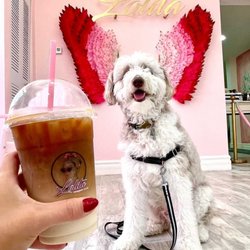 Even our four legged friends love it here!