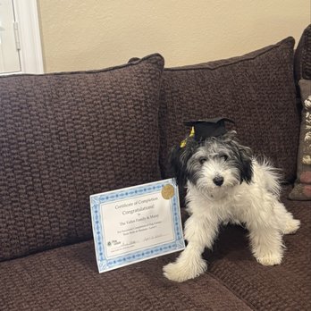 Dog Genie - Our proud graduate - Pet Training Near Me - Camarillo, California Dog Genie - Our proud graduate - Pet Training Near Me - Camarillo, California