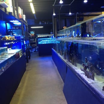 Freshwater fish stores near me sale