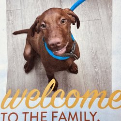 Dogtopia - Felipe's first day!!