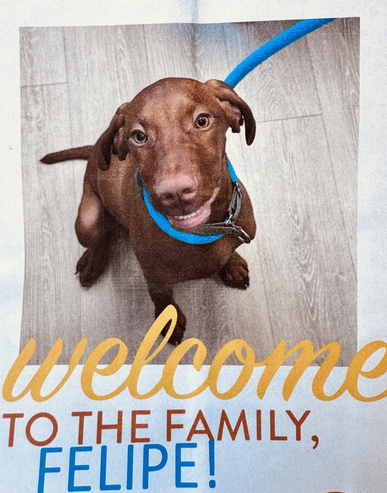 Dogtopia - pet boarding facility in Milwaukee, WI