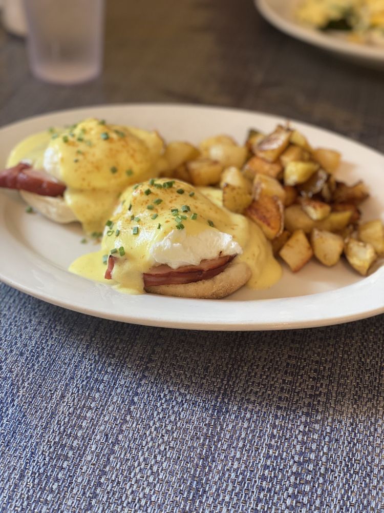 The Chocolate Gallery Cafe