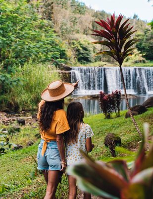 Common Ground Kauai by null