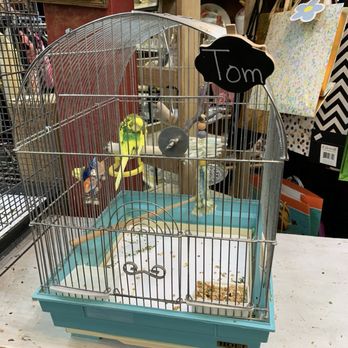 Rescued Treasures Charity Boutique - Tom - Thrift Stores Near Me - Phoenix, Arizona Rescued Treasures Charity Boutique - Tom - Thrift Stores Near Me - Phoenix, Arizona