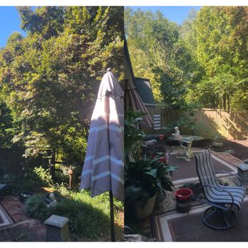 Luna's Trees - Before and After - Landscaping Near Me