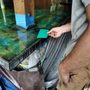 Photo of Royle Stone Epoxy