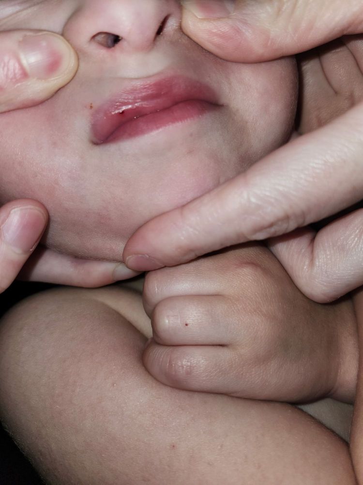 Action Behavior Centers - ABA Therapy for Autism - grief counselor in Fort Worth, TX