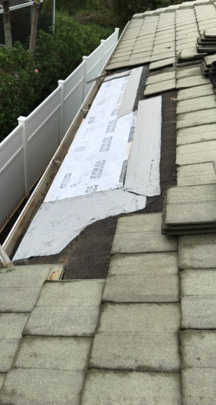 Slide of Blue Dog Roofing & Construction