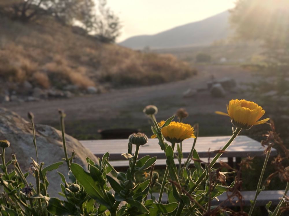 CRYSTAL SPRINGS CAMPGROUND Updated August 2024 3369 US30, McCammon