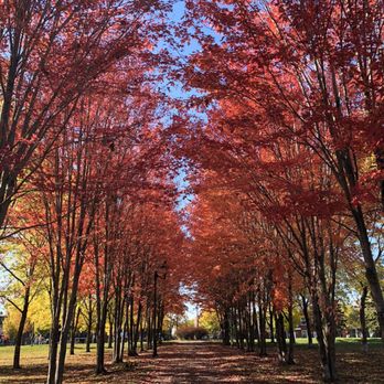 Parc Desmarchais - Autumn walkway - Parks Near Me - Montreal, Quebec Parc Desmarchais - Autumn walkway - Parks Near Me - Montreal, Quebec