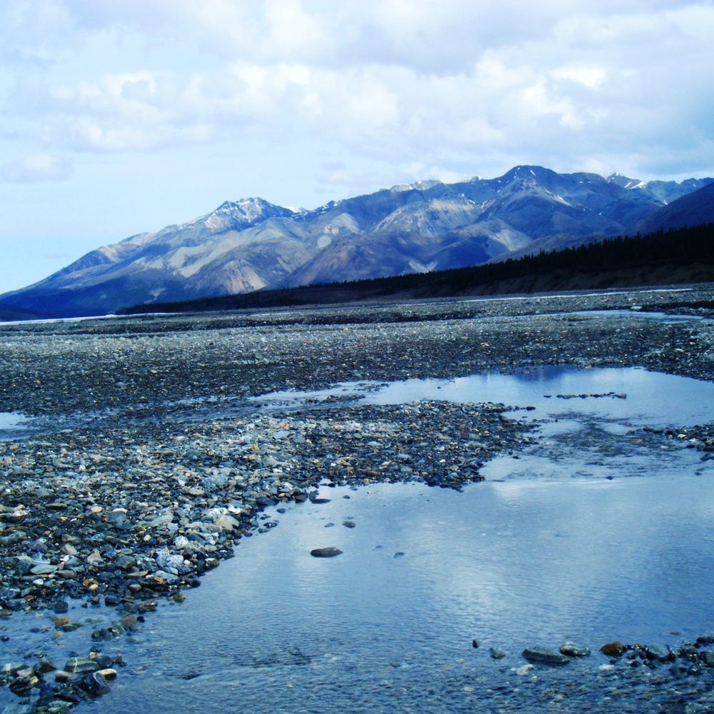 Toklat River
