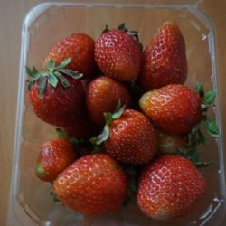 Sound Sustainable Farms - Organic Strawberries