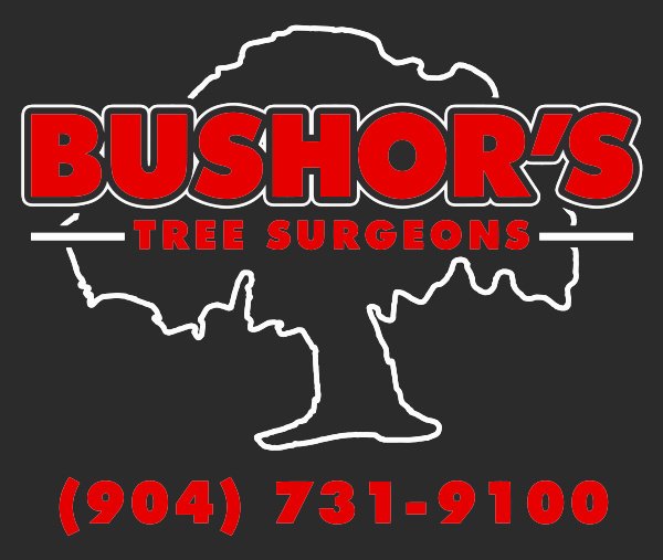 BUSHOR’S TREE SURGEONS Updated September 2024 10 Reviews 5525