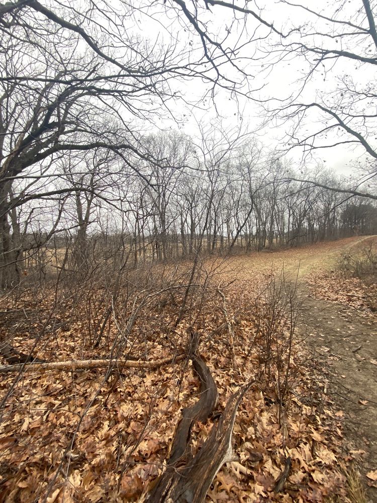 GREENWOOD FARM 47 Jeffrey's Neck Rd, Ipswich, Massachusetts Parks