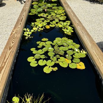Black Shed - Beautiful 'water container' - Bog Log as it was referenced - Nurseries & Gardening Near Me - Stockton, New Jersey Black Shed - Beautiful 'water container' - Bog Log as it was referenced - Nurseries & Gardening Near Me - Stockton, New Jersey