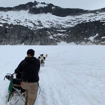 Coastal Helicopters - Have you ever ridden on a dog sled!? I mean come on... - Aerial Tours Near Me - Juneau, Alaska Coastal Helicopters - Have you ever ridden on a dog sled!? I mean come on... - Aerial Tours Near Me - Juneau, Alaska