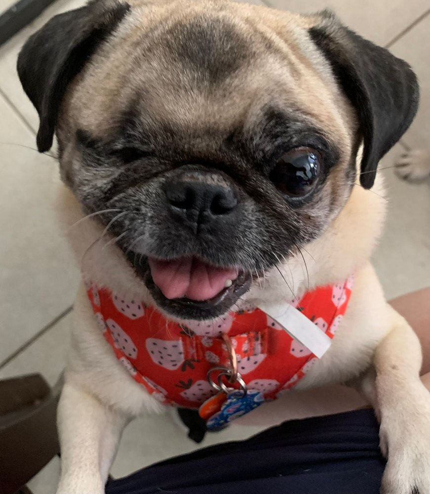 Slide of Al Miller & Sons Roofing Co., Inc.