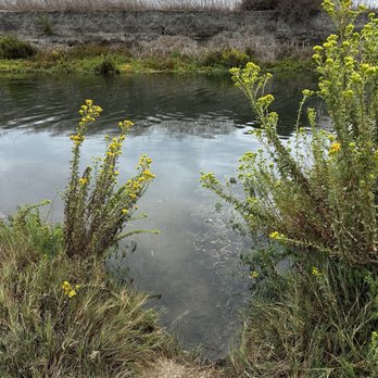 Back Bay Loop Trail - Parks Near Me - Newport Beach, California