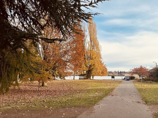 Green Lake Park by null