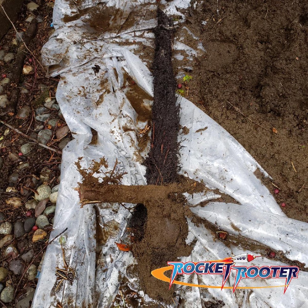 Slide of Rocket Rooter