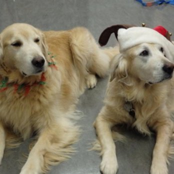 Saseenos Veterinary Services - Photo - Veterinarians Near Me - Sooke, British Columbia Saseenos Veterinary Services - Photo - Veterinarians Near Me - Sooke, British Columbia