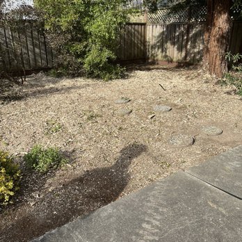 Sierra Tree Company - After root removal - Tree Services Near Me - Rohnert Park, California Sierra Tree Company - After root removal - Tree Services Near Me - Rohnert Park, California