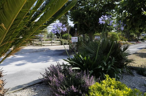 Phare des Baleines by null
