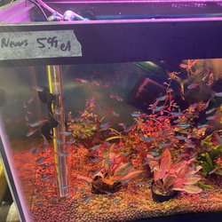 Vienna Aquarium & Pets - Overpriced fish