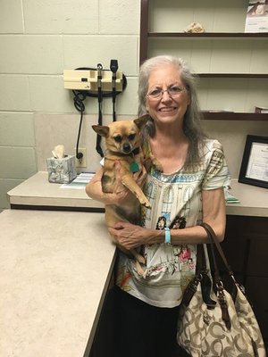 Silver Leaf Animal Hospital 530 N Eastern Ave Moore Ok Veterinarians Mapquest