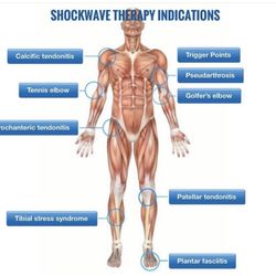 California Spinal Rehab Clinic