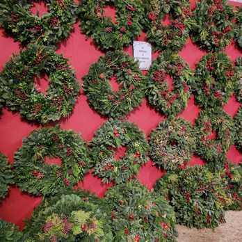 Logan Tree Farm - Christmas Trees Near Me - Portland, Oregon Logan Tree Farm - Christmas Trees Near Me - Portland, Oregon
