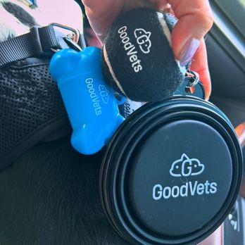GoodVets Hermosa Beach - Free goodies - Veterinarians Near Me - Hermosa Beach, California GoodVets Hermosa Beach - Free goodies - Veterinarians Near Me - Hermosa Beach, California