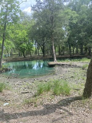 Bayou Wildlife Zoo by null