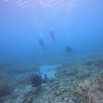 Sea Dwellers Dive Center - Scuba Diving Near Me - Key Largo, Florida Sea Dwellers Dive Center - Scuba Diving Near Me - Key Largo, Florida