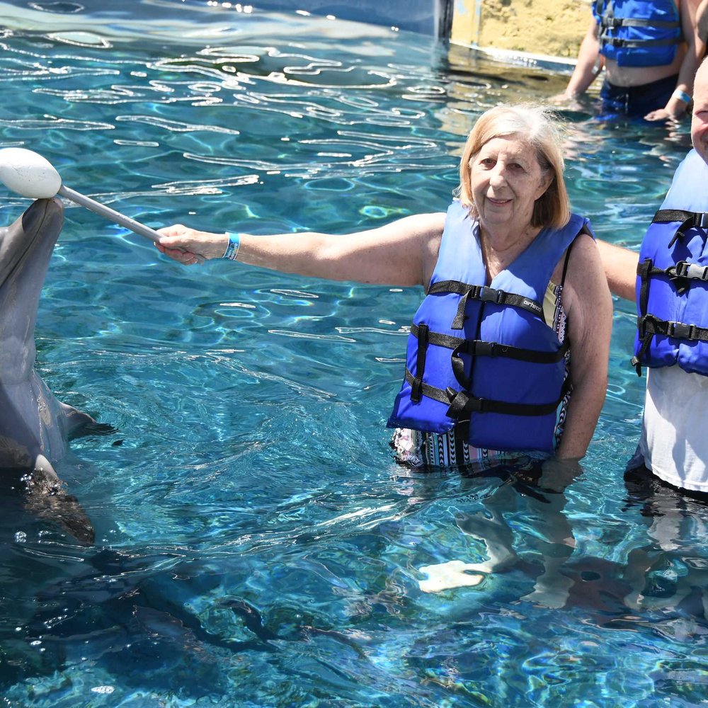 Flipper Fans