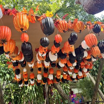 Treetop Trekking Miami - Amusement Parks Near Me - Miami, Florida Treetop Trekking Miami - Amusement Parks Near Me - Miami, Florida