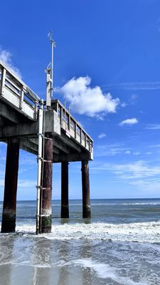 Anastasia State Park by null