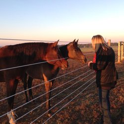 The Bluebird Ranch Winery