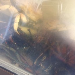 Fresh in the tank!