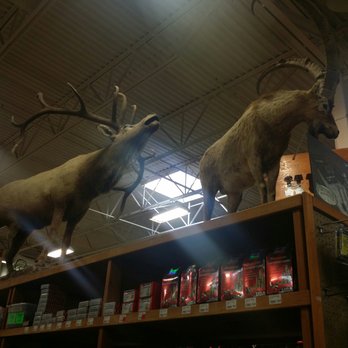 Sportsman's Warehouse - Animals - Sports Wear Near Me - Albuquerque, New Mexico