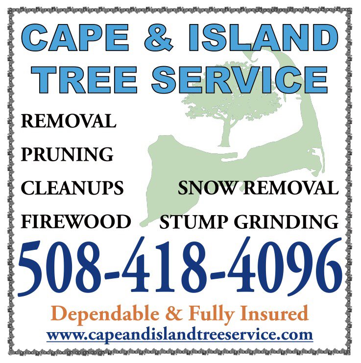 CAPE & ISLAND TREE SERVICE 10 Photos 104 Long View Dr, Centerville