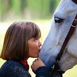 Woodland Horse Center