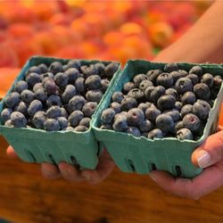 Powers Farm Market