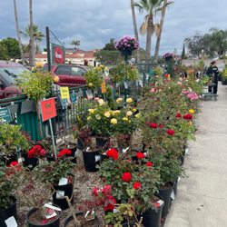 Armstrong Garden Centers