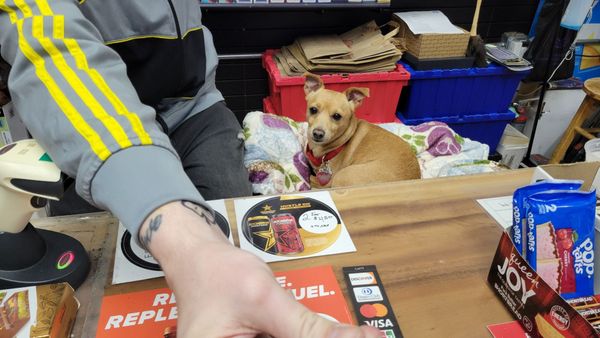 Amal's Deli and Market by null